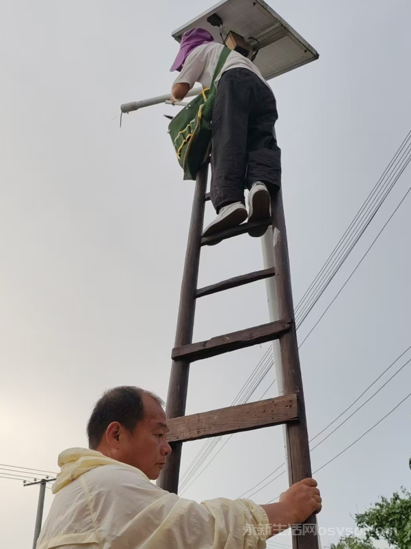 高溪乡:小路灯照亮大民生 为乡村振兴“增光添彩”
