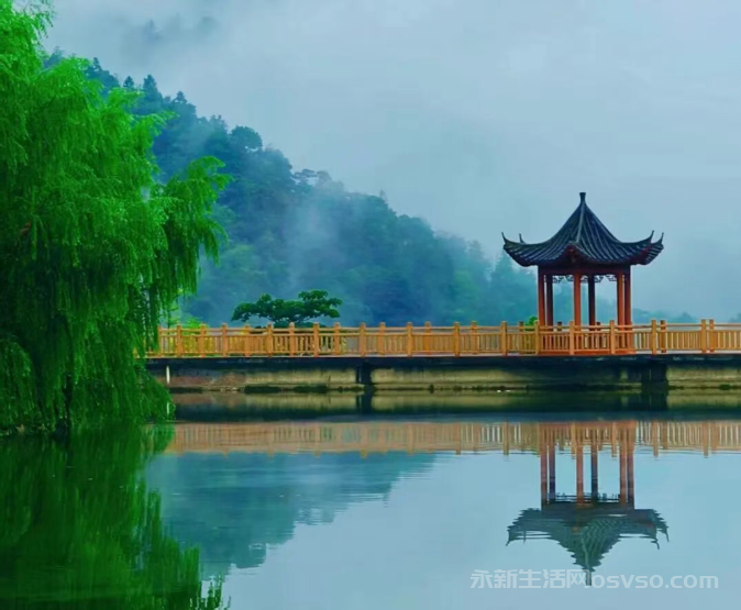 江西永新：黄竹岭上秋意浓图1
