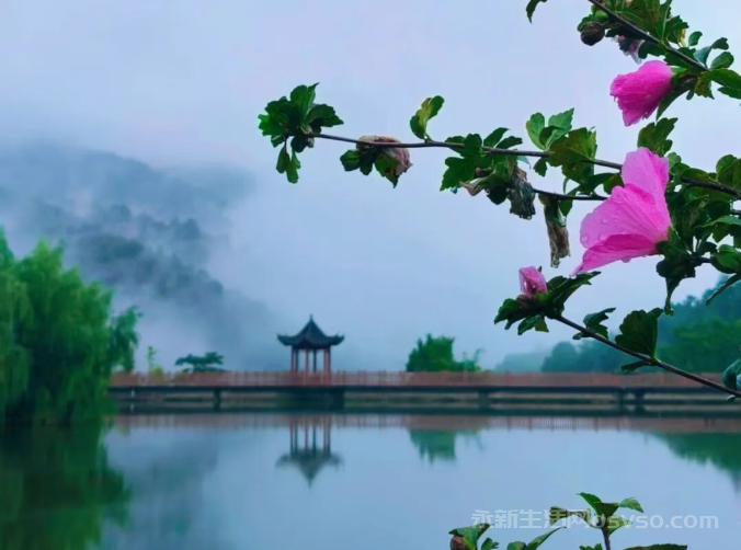 江西永新：黄竹岭上秋意浓图2