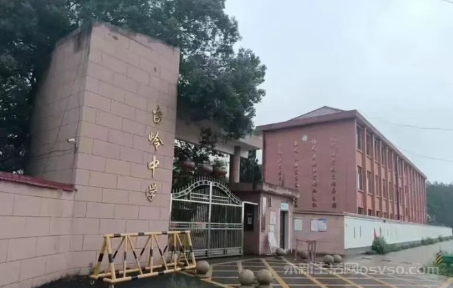 台岭中学的那段时间回忆日记图2