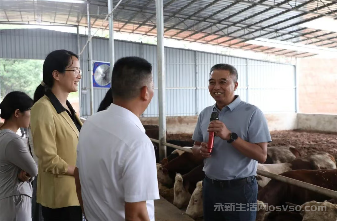 永新莲洲乡:观摩学习促提升 共探肉牛产业发展新路径