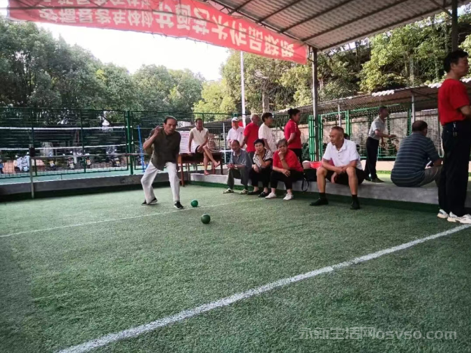 永新县第三届老年人体育运动会县直单位地掷球赛成功举办