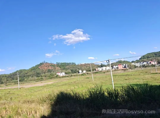 你是我心中永远的痛