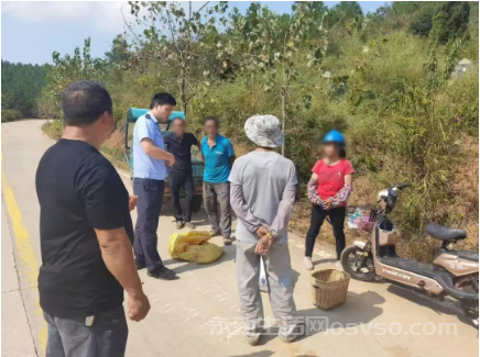 永新县公安局成立油茶采摘巡防小组共同守护村民“致富果”