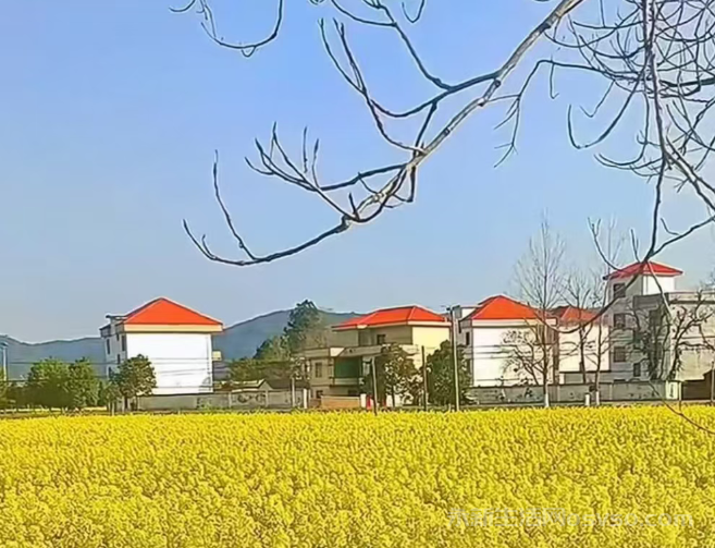 走进江西永新戴家村—家乡四季之美