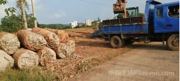 澧田镇依法拆除违法占地建筑，坚决守牢耕地保护红线图3