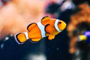 关于永新助产机构名单及执业地址等信息的公示