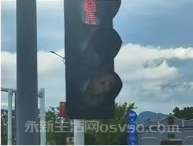 永新县将军桥十字路口红绿灯惊现“马蜂窝”！消防员速拆“蜂”险！