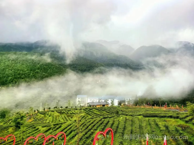 黄竹岭景区