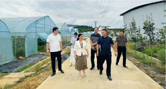 县委常委、统战部长廖发香深入高市乡开展农业产业发展调研工作