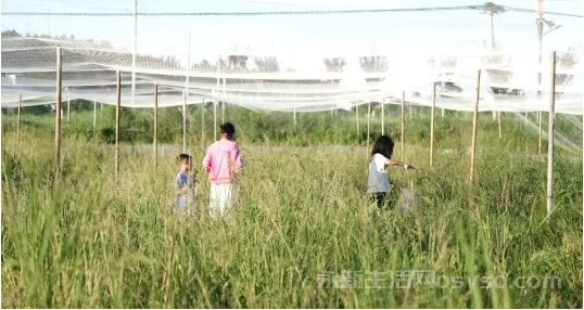 永新才丰乡：体验“稻蛙”垂钓 重温童年乐趣图3