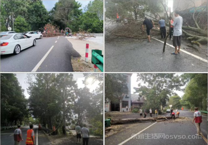 龙田乡：清理树木遮挡 消除道路安全隐患