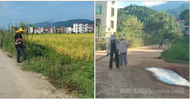 龙田乡：清理树木遮挡 消除道路安全隐患