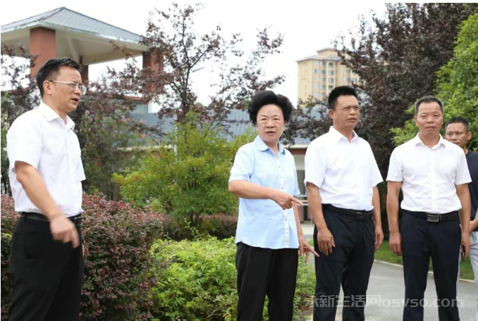 市政协党组书记、主席肖玉兰在永新调研图2