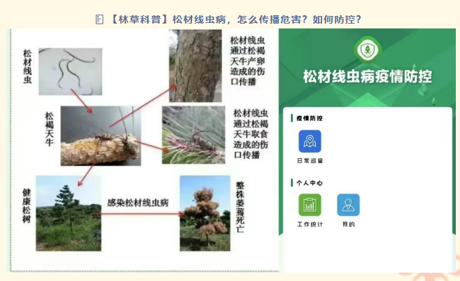 澧田镇开展巡查护林员素质素养培训