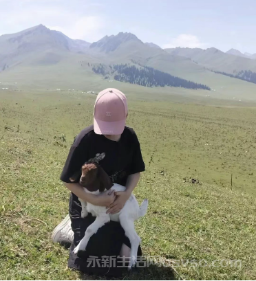龙的传人—西游有感