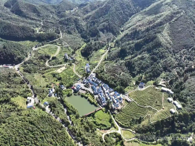 永新县各地组织农户抢抓农时对油茶树进行管护