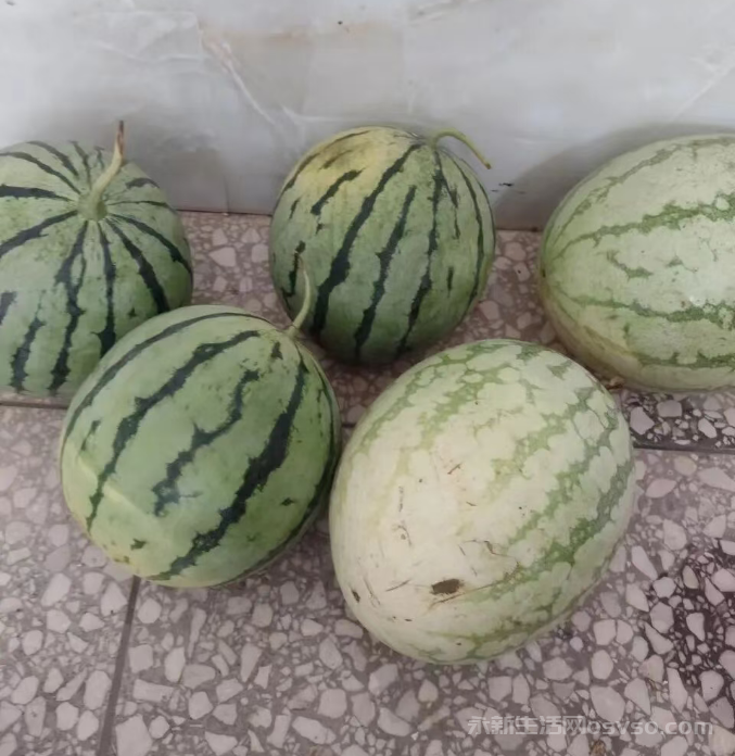 热情的邻居