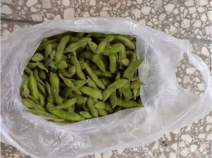热情的邻居