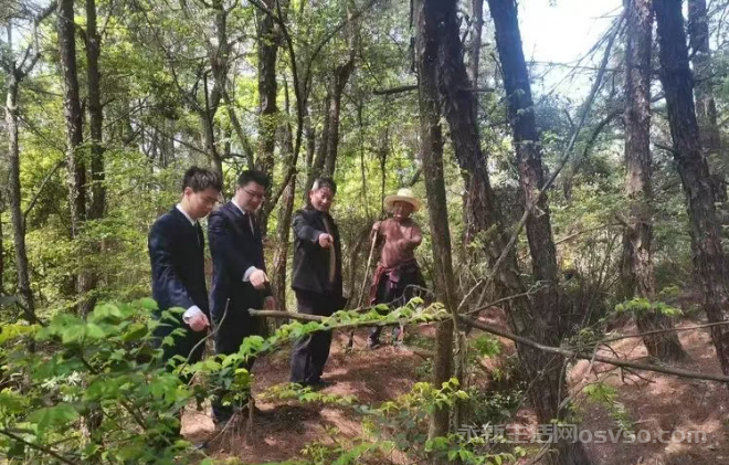 寻找金华山