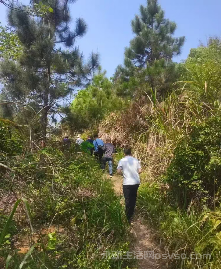 寻找金华山
