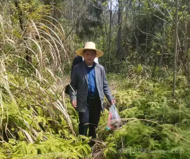 寻找金华山