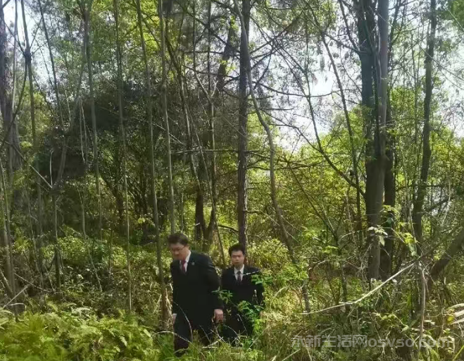 寻找金华山