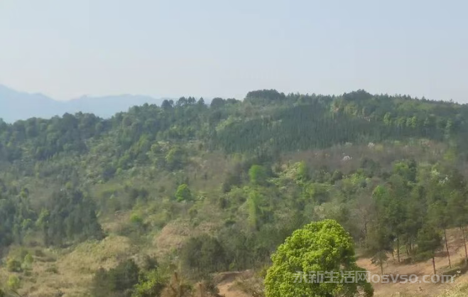 寻找金华山