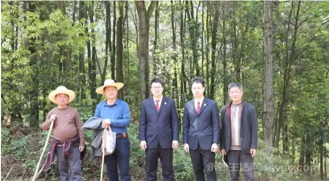 寻找金华山