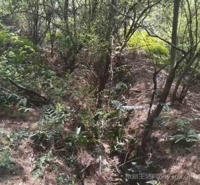寻找金华山