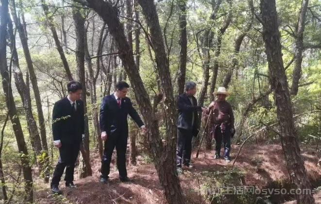 寻找金华山