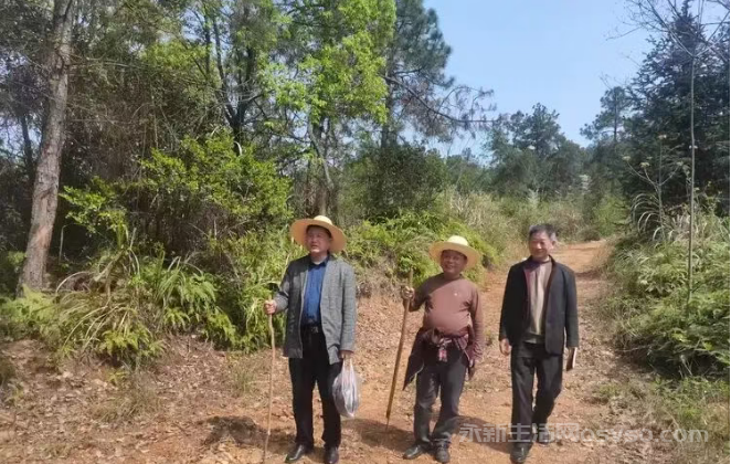 寻找金华山