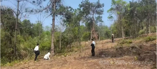 寻找金华山