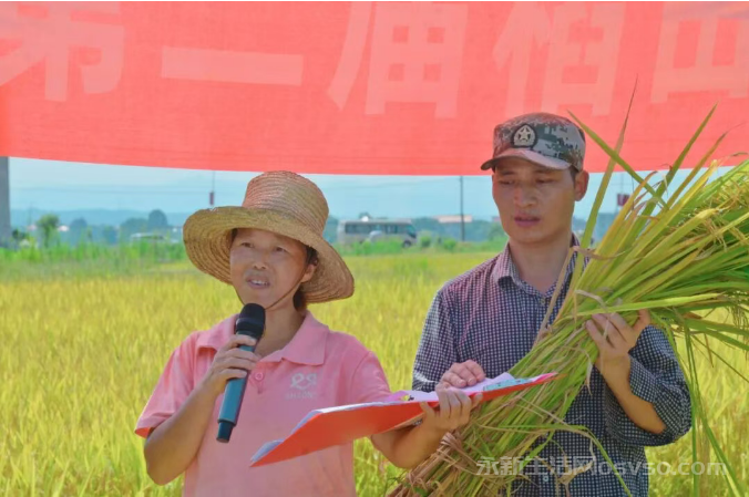 永新县第二届稻田诗会圆满举行