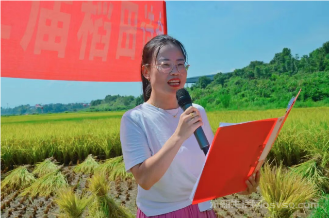 永新县第二届稻田诗会圆满举行