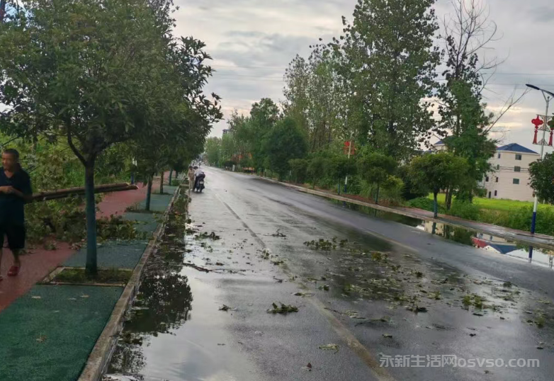 埠前镇共和村：清理路中央树木 道路恢复畅通