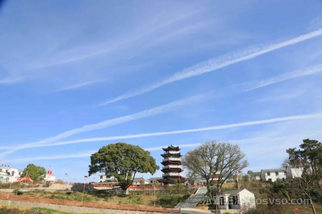 植根乡土三十年