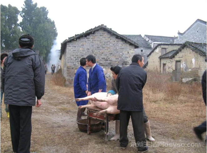 植根乡土三十年