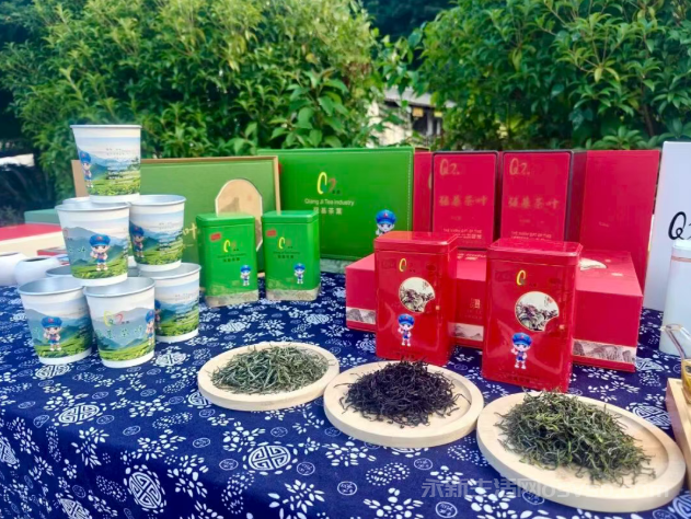 澧田镇“和子四珍” 油纸伞 茶叶走进央视栏目啦！