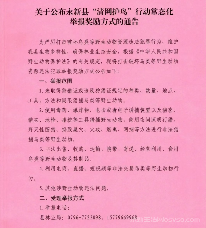 永新县“清网护鸟”行动常态化举报奖励方式的通告