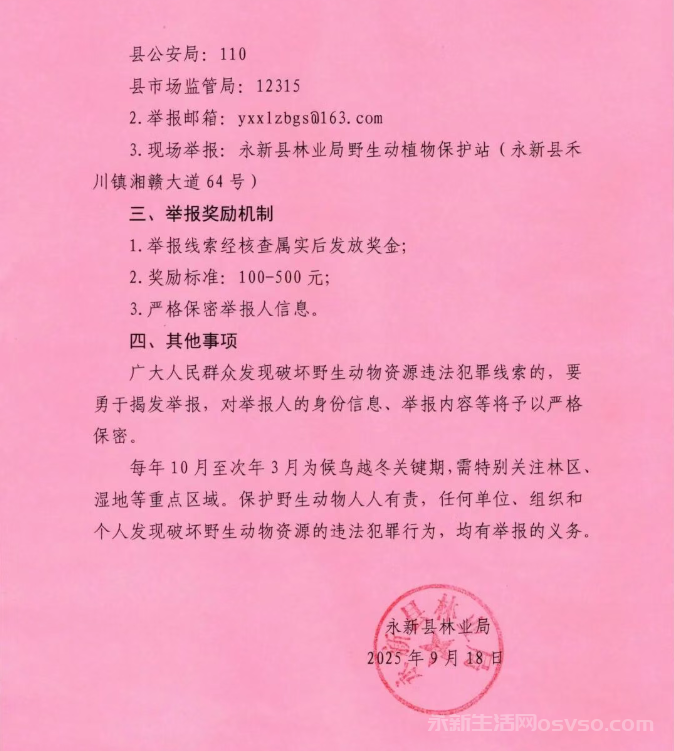 永新县“清网护鸟”行动常态化举报奖励方式的通告