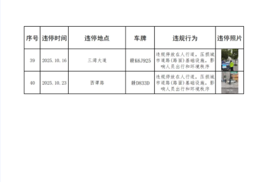 永新县城区10月上旬车辆乱停乱放行为曝光