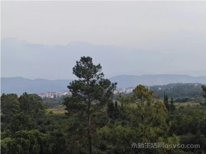 想您,在每一个富足的日子