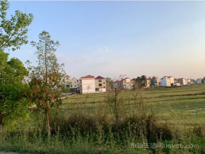 想您,在每一个富足的日子