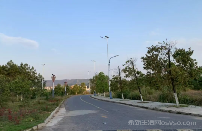 想您,在每一个富足的日子