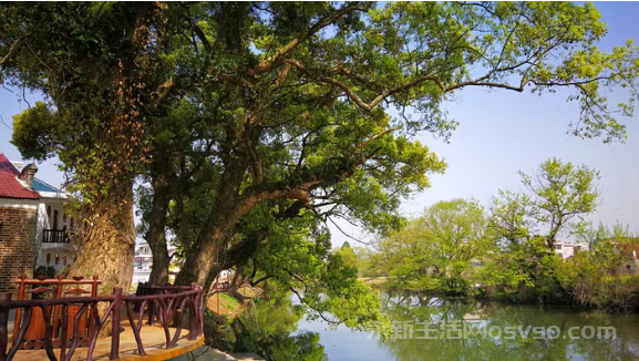 永新县“我爱永新我的家”主题征文作品展|最美的遇见