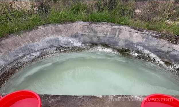 故乡的罗盘树与龙井水