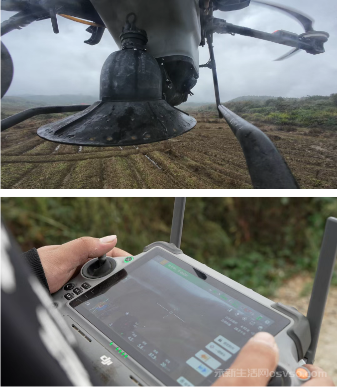 永新：无人机“飞防”助力油菜防寒保产图1