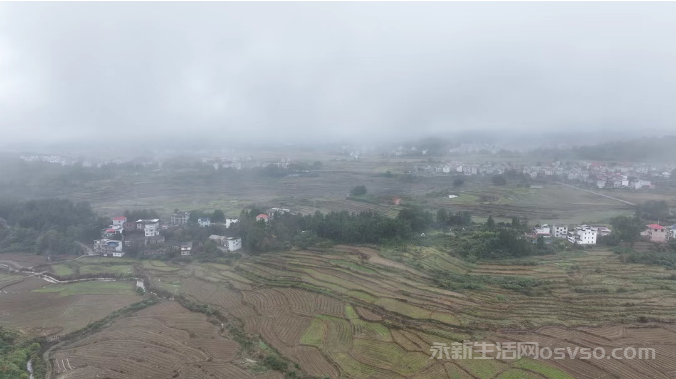 永新：无人机“飞防”助力油菜防寒保产图3