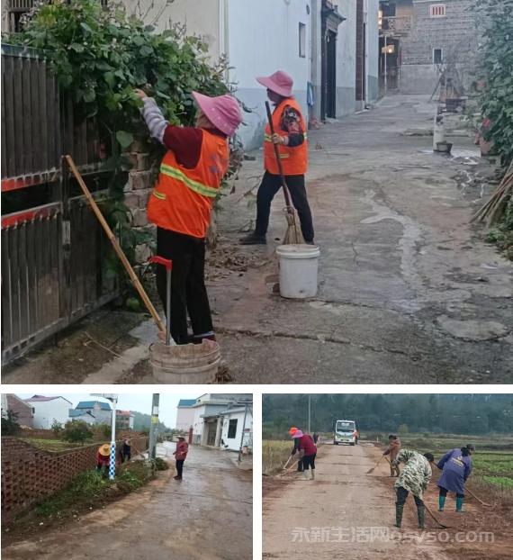 莲洲乡：人居环境整治 保洁员“在行动”